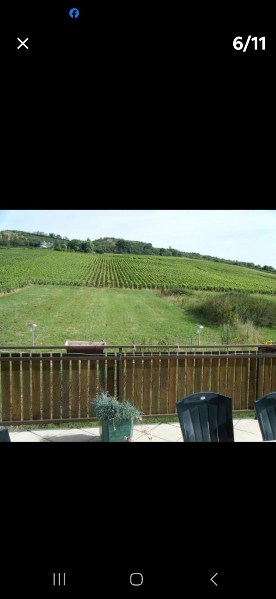 Maison Au Milieu Des Vignes Moroges Exteriör bild